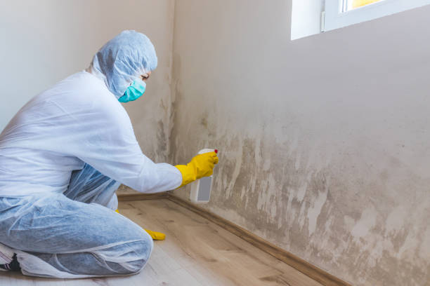 Best Mold Testing  in Byron, IL